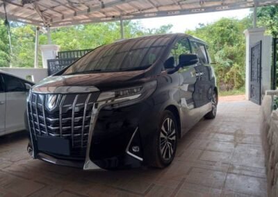 Alphard gen